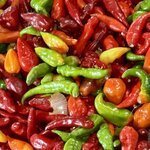 Photo taken by Ben B