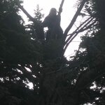 Photo taken by Denise H