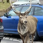 Photo taken by Marcy B