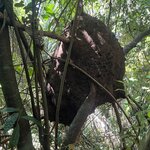 Photo taken by Chris G