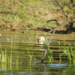 Photo taken by Linette B