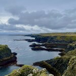 Photo taken by Lauri F