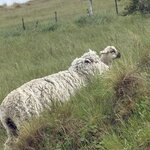 Photo taken by kevin c