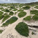 Photo taken by Rosemary S