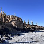 Photo taken by Shirley S