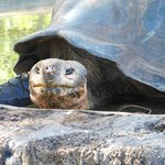 Photo taken by Steven M