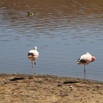 Photo taken by Jananee J