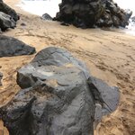 Photo taken by Tim Z