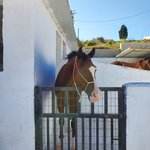 Photo taken by Patricia K