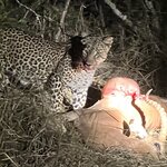 Photo taken by rhonda c