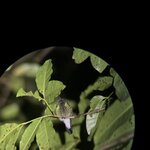 Photo taken by Sheila G