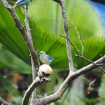 Sazagua Hotel Pereira | Photo taken by Peter G