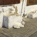 Photo taken by Linda S