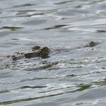 Photo taken by Peter F