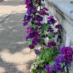 Photo taken by Janice W