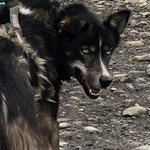 Photo taken by florence P