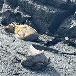 Photo taken by Gary W