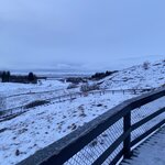 Photo taken by Paula M