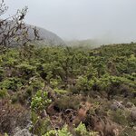 Photo taken by Catherine H