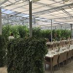 Fridheimar Greenhouse | Photo taken by Jana P