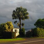 Photo taken by Tom B