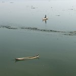 Rounding up the ducks | Photo taken by Gregory R