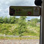 Photo taken by Tina D