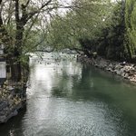 Photo taken by Nino C