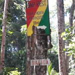 Photo taken by Claudia S