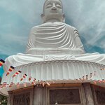 Photo taken by Molly P