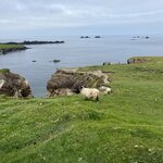 Photo taken by Debi H