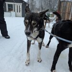 Photo taken by KRISTIN T