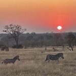 Photo taken by Joanne B