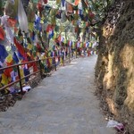 - | Photo taken by Karen W