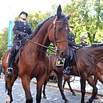 Photo taken by Alex T