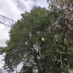 Photo taken by Brett F