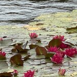 Photo taken by Lorna W