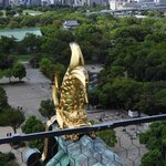 Photo taken by Jason P