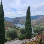 Photo taken by Laura R