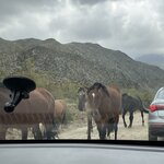 Photo taken by Mary E