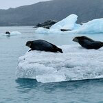 Photo taken by Donna T