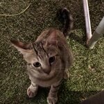 Photo taken by Shaula L