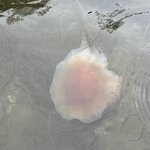 Photo taken by Lara N