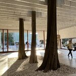 Photo taken by Lauri F