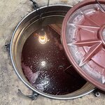 Photo taken by Melody B