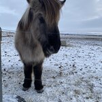 Photo taken by Paula M