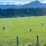 Photo taken by jeff w