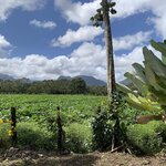 Photo taken by Joy E