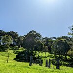 Photo taken by Daniel S