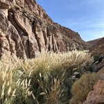 Photo taken by lynn o